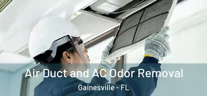  Air Duct and AC Odor Removal Gainesville - FL