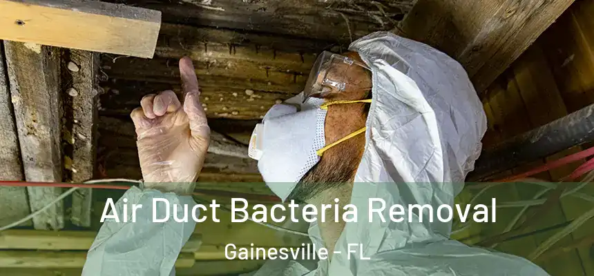 Air Duct Bacteria Removal Gainesville - FL