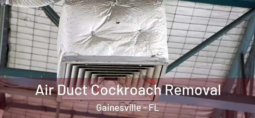 Air Duct Cockroach Removal Gainesville - FL