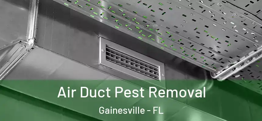 Air Duct Pest Removal Gainesville - FL