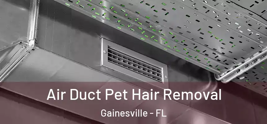  Air Duct Pet Hair Removal Gainesville - FL