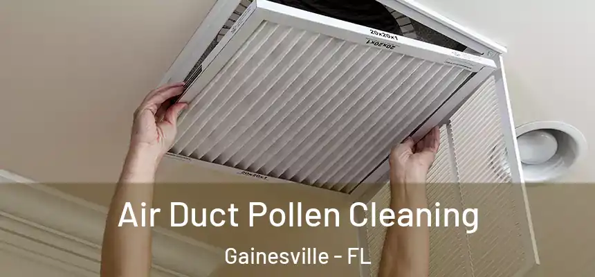 Air Duct Pollen Cleaning Gainesville - FL