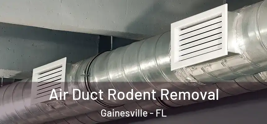 Air Duct Rodent Removal Gainesville - FL