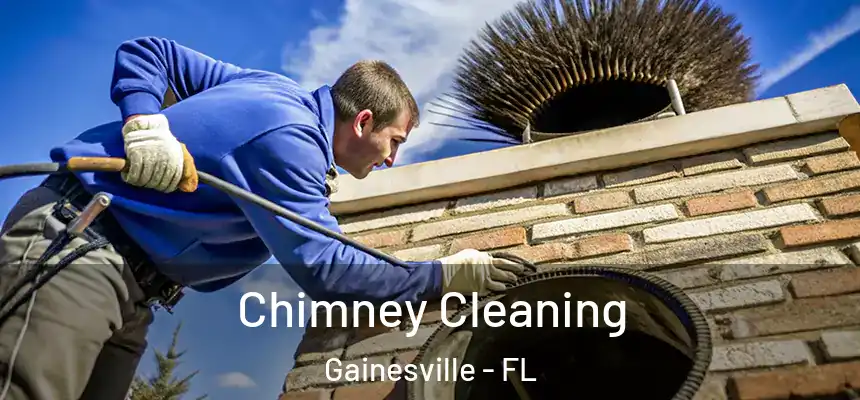 Chimney Cleaning Gainesville - FL