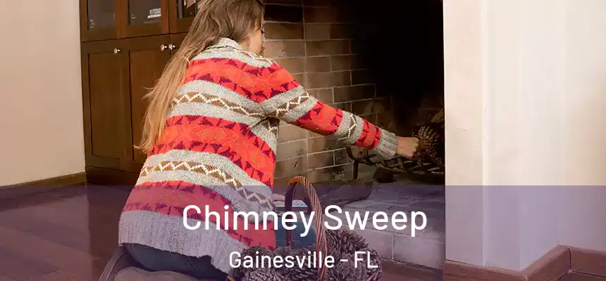 Chimney Sweep Gainesville - FL