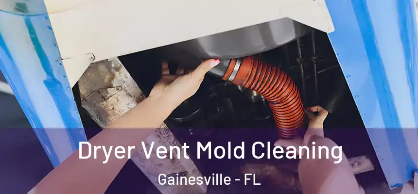  Dryer Vent Mold Cleaning Gainesville - FL