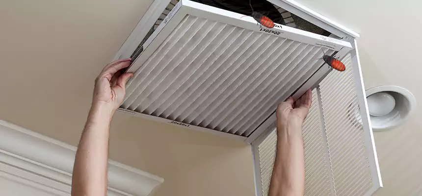 Preventive Cockroach-Proofing for Ducts in Gainesville