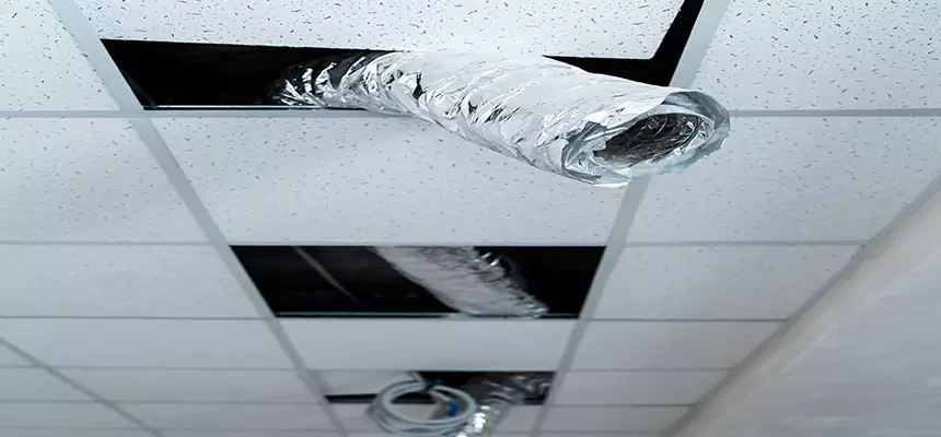 Affordable HVAC Sanitizing After Pest Removal in Gainesville