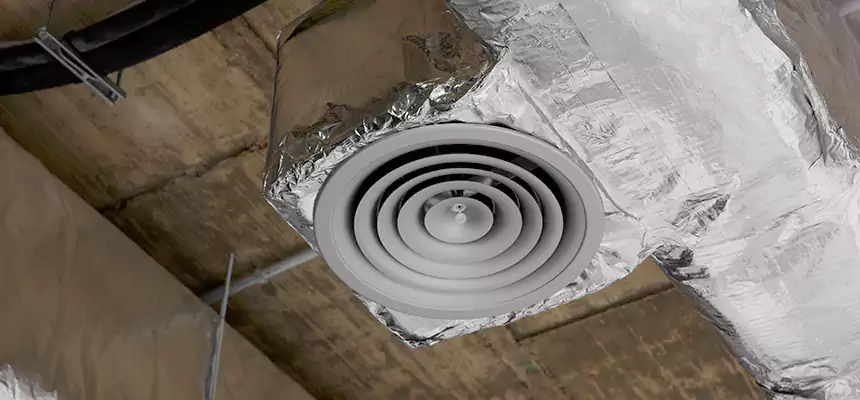 Our Excess Lint Removal from Dryer Ducts Services in Gainesville, FL