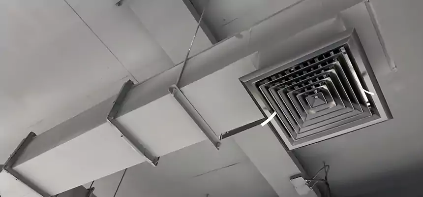 Our Rodent Droppings In Vents Services in Gainesville, FL