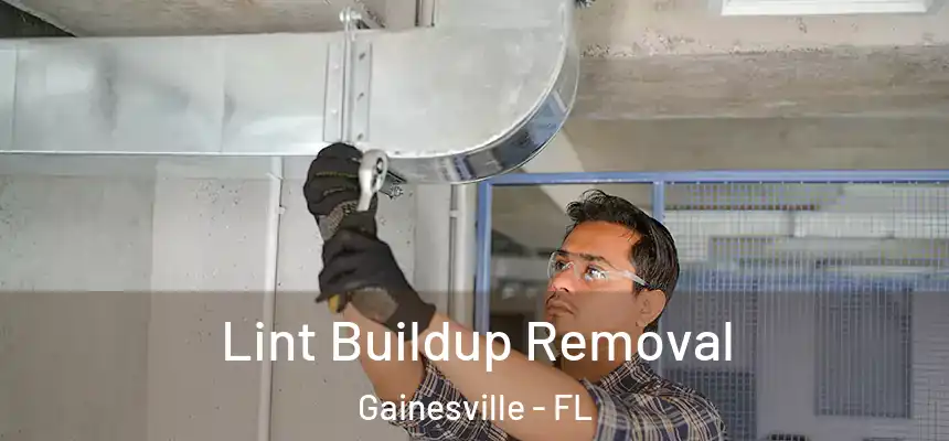 Lint Buildup Removal Gainesville - FL