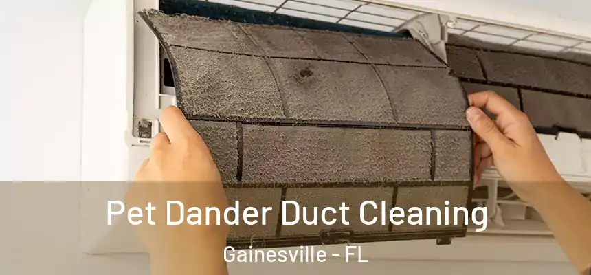 Pet Dander Duct Cleaning Gainesville - FL
