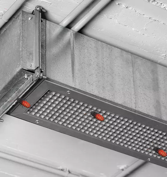 About Air Duct Cockroach Removal in Gainesville, FL