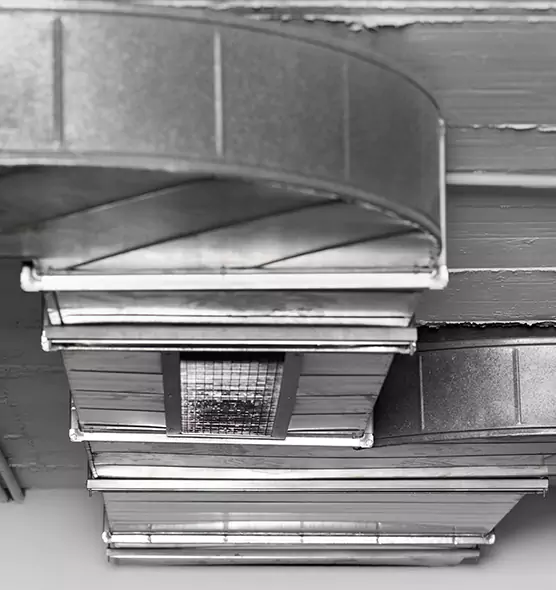 Professional Air Duct Pest Removal in Gainesville, FL