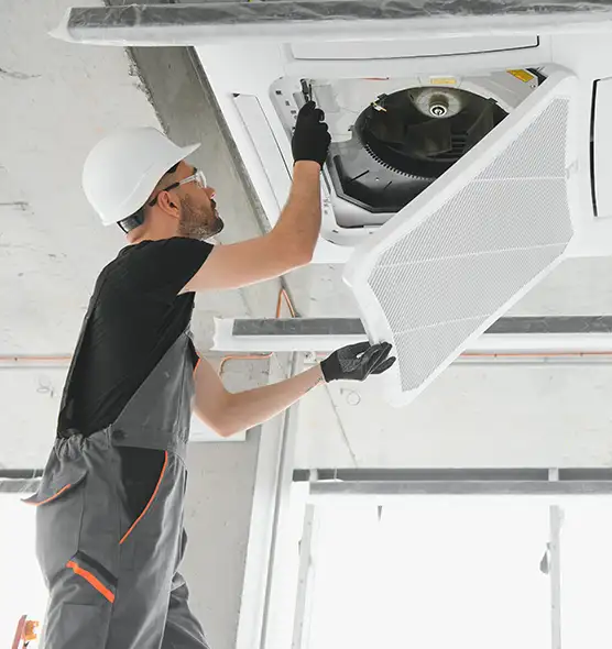 About Air Duct Rodent Removal in Gainesville, FL