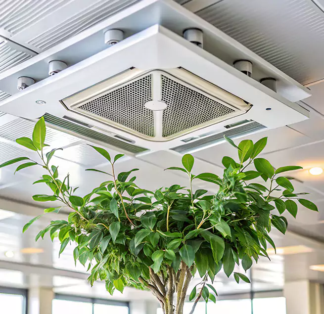 Why Homeowners & Businesses Trust Us in Gainesville, FL?