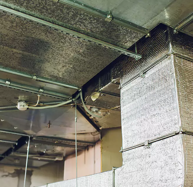 Why Homeowners & Businesses Trust Us in Gainesville, FL?